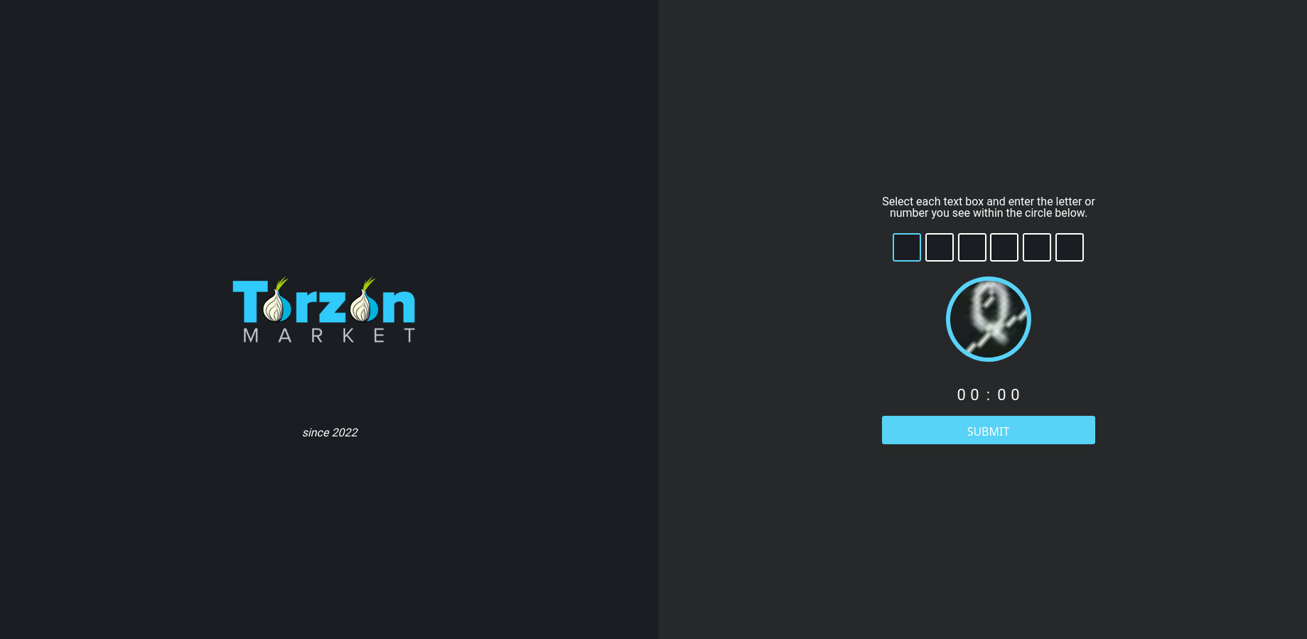 TorZon Market DDoS Protection